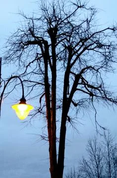 Excellently Stock Photos