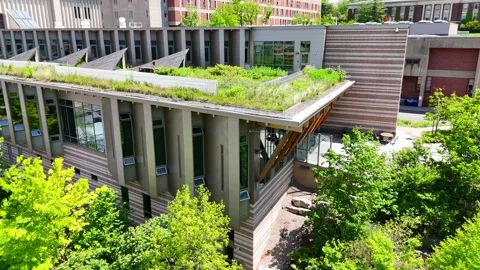 Exceptional Design - Syracuse, NY Stockbeeldmateriaal 336039800