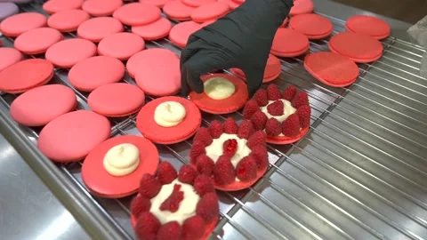 Exceptional macaron preparation process Stock Footage 218199156