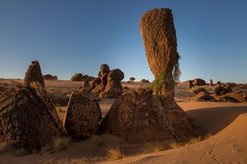 Exceptional rock formation embedded in a large dune area  The Fingers, Es Sba Stock Photos