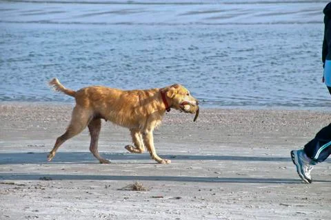 Excercise on the beach Foto stock