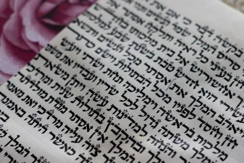 Excerpt from the Book of Esther from the Bible, written on a handwritten cowh Stock Photos
