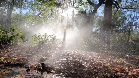 Excess Sprinker Use in 4K, Florida, USA Видео 175049939