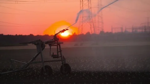 Excessive use of water in a sprinkling machine with a sunset Video stock 71030771