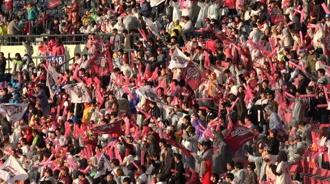 Excited baseball crowd cheering in the stadium, Seoul, sports in South Korea Stock Footage 60785580