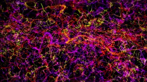 Excited Colorful Particle Strings or Strands 1 67831 Stock Footage 59986015