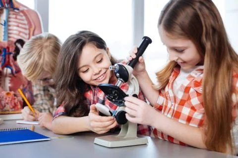 Excited creative classmates testing a microscope Stock Photos