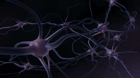 Excited nervous centers Stock Footage 24724201