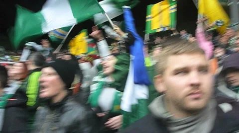 Excited Stadium Crowd Cheering Stock Footage 12421746