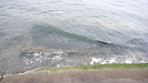Excitement in the Bay Vídeo Stock 91873830