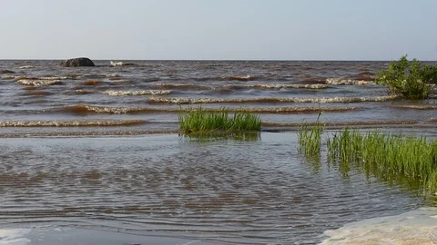 Excitement on the lake Stock Footage 108764373