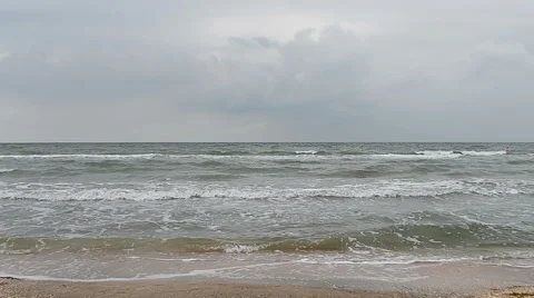 The excitement of the sea Stock Footage 55442165
