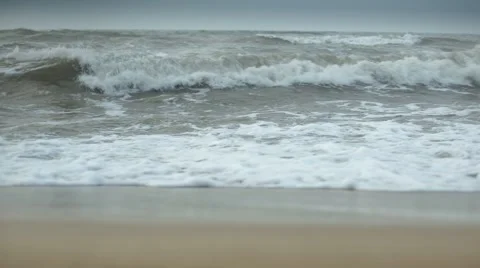 The Excitement of the Sea Stock Footage 67463805