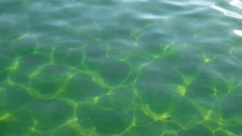 Excitement on the surface of the green water 스톡 동영상 294987653