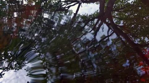 Excitement on the surface of the water Stock Footage 112150180