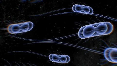 An exciting 3d rendering of five hairy bacteria with thin fibers and blue tai Stock Illustration