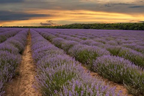 Exciting landscape Stock Photos