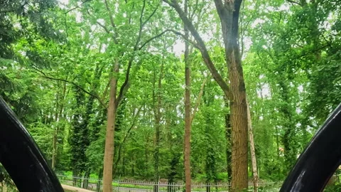 Exciting Point of view from an exciting rollercoaster going through an corner Video stock 337896043
