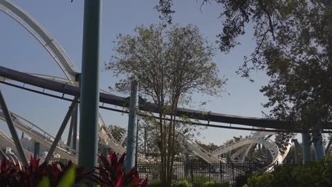 Exciting Roller Coaster Ride at Marine Park During Sunny Day Stock Footage 309985257