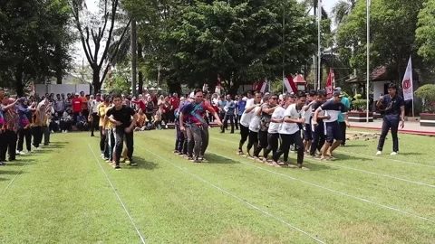 Exciting teamwork game with festive crowd and national pride. People compet.. 스톡 동영상 315617394