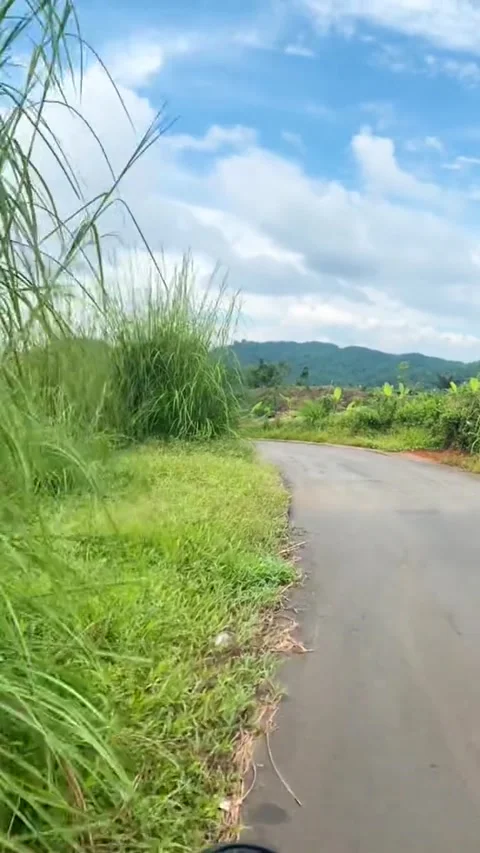 Exciting trip Video stock 245669084