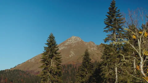 Exciting view on the mountain peak through the trees painted in autumn colours Stock Footage 204048111