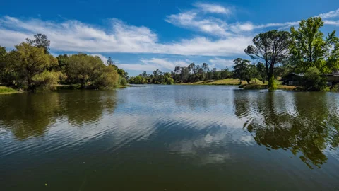 Exciting Winds and Ducks Animate a Small Lake Time Lapse Stock Footage 279712765