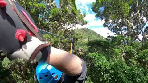 Exciting ziplining adventure through lush tropical rainforest in Boquete Stock Footage 345270798
