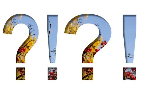 Exclamation and question marks cut out of white on a background of autumn rip Stock Illustration