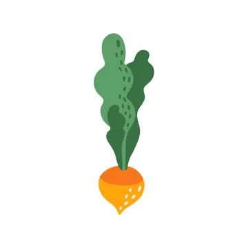 Exclamation mark, autumn beetroot attention sign Illustrazione stock