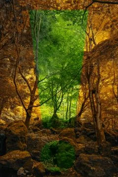 Exclamation mark shape cutout of a winter scene in the middle of a fall forest. Foto stock