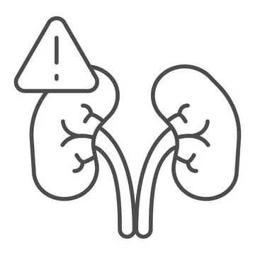 Exclamation point and kidney problems thin line icon, disability concept, kidney Stock Illustration