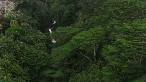 Exclusive 8K version.  Aerial view of waterfall on Big Island, Hawaii.  Shot on Stock Footage 130400666