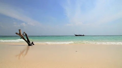 Exclusive beach in a tropical environment Stock Footage 232913444