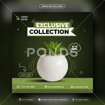 Exclusive Collection Social Media Post Template Modello PSD