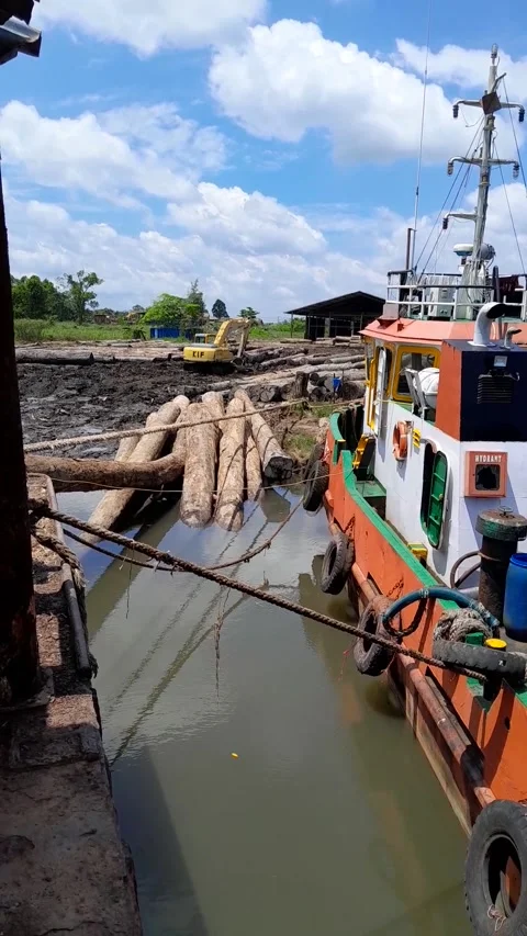 Exclusive Stock-Footage 241318554