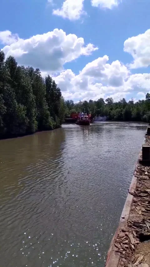 Exclusive Stock-Footage 241701808