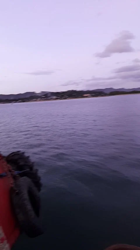 Exclusive nchored ship Stock-Footage 241318443