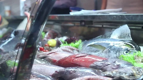 Exclusive seafood on display Stock Footage 73425740