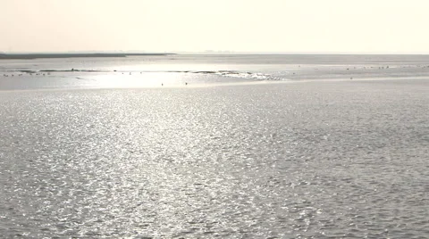 Excursion boat Stock Footage 61960614