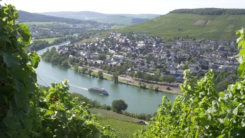 Excursion boat on the Moselle Stock Footage 297811918