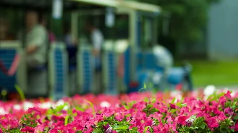 The excursion bus goes on the road Stock Footage 40006646