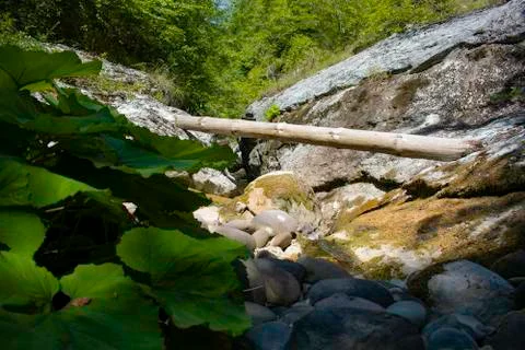 Excursion in the gorges of the rio garrafo Photos