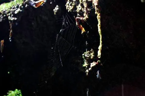 Excursion in the gorges of the rio garrafo Photos