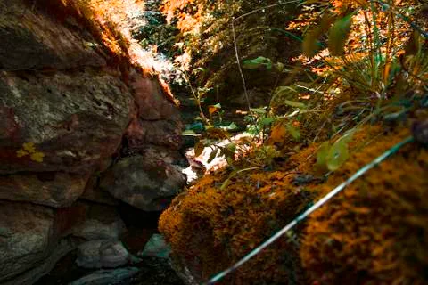 Excursion in the gorges of the rio garrafo Photos