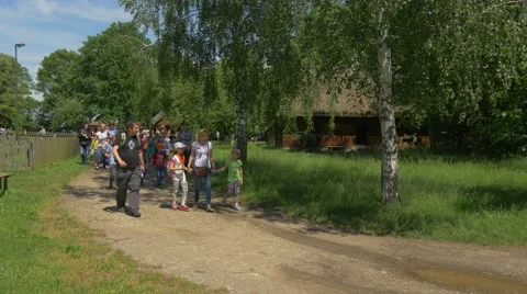 Excursion of Primary School Children on a Sunny Summer Day Stock Footage 63746314