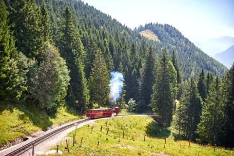 Excursion red train in mountains Stock Photos