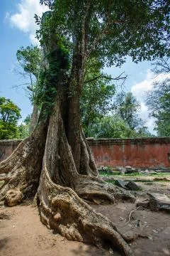 Excursion to the temple Angkor in Cambodia Foto stock