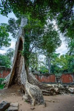 Excursion to the temple Angkor in Cambodia Foto stock