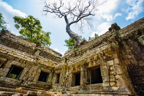 Excursion to the temple Angkor in Cambodia Foto stock
